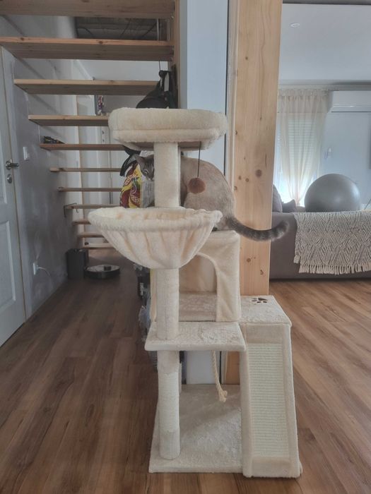 Árvore para gato