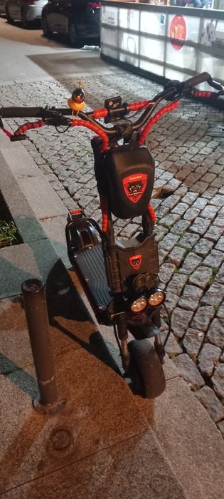 Trotinete eletrica kaboo