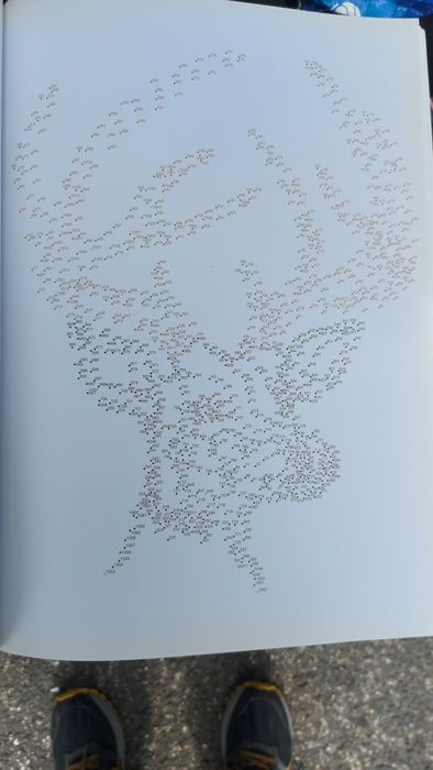 Ponto a Ponto Avançado de Gareth Moore