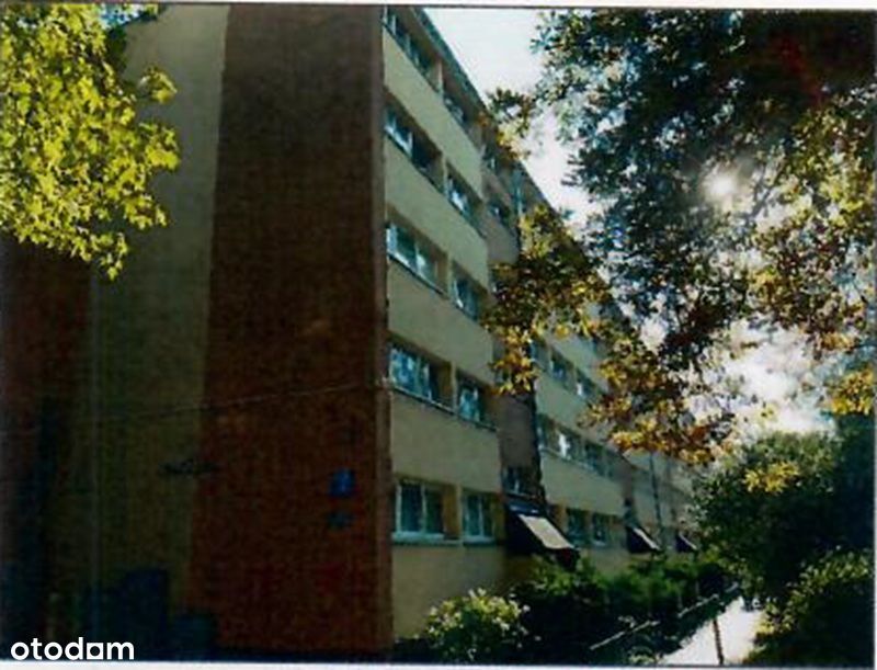 Zdjęcie 5