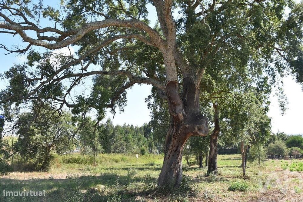 Terreno para construção em Amor de 2619,00 m2
