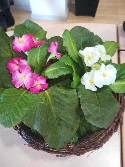 Arranjo floral In Garden