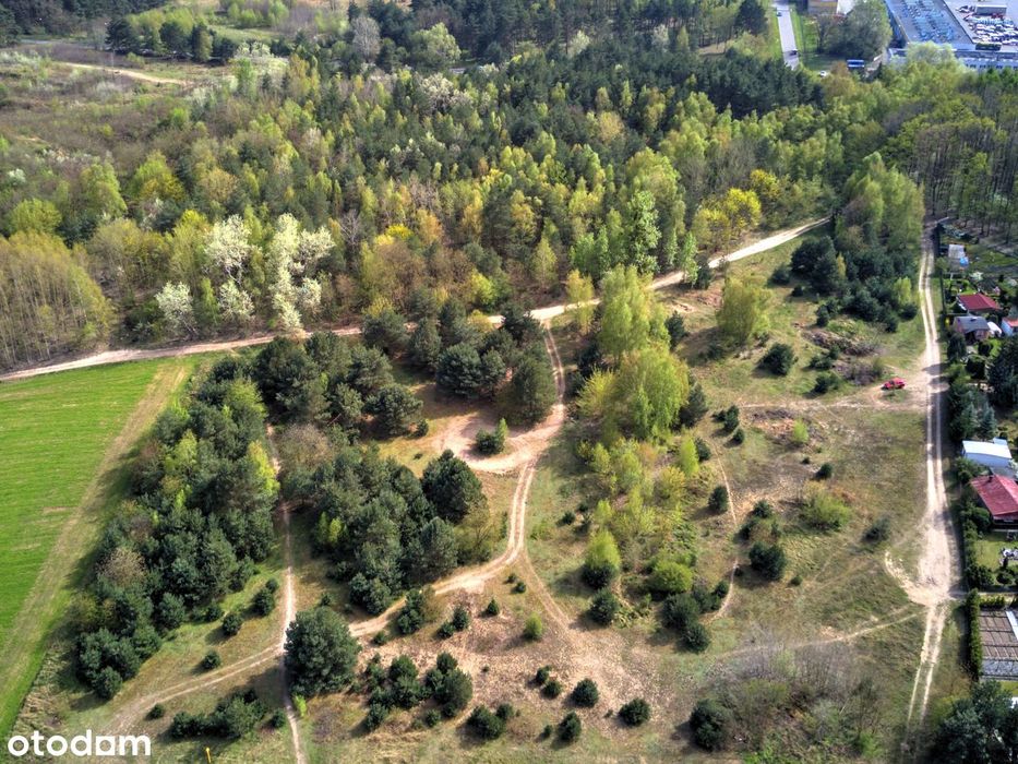 9943 m² z MPZP (20%) - idealna dla inwestora / developera. Przy lesie. - Więcej