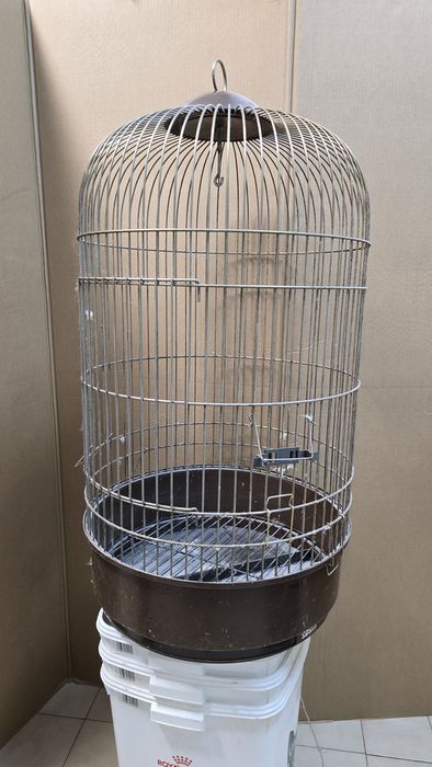 Gaiola de papagaio usada