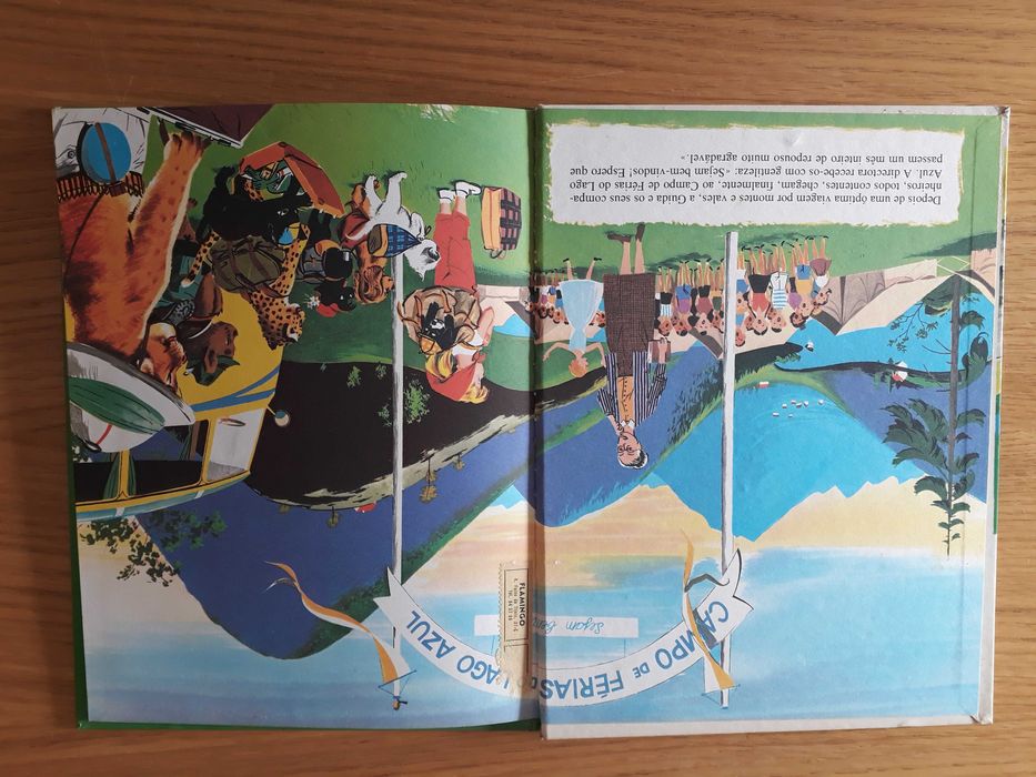 Livros Verbo Infantil