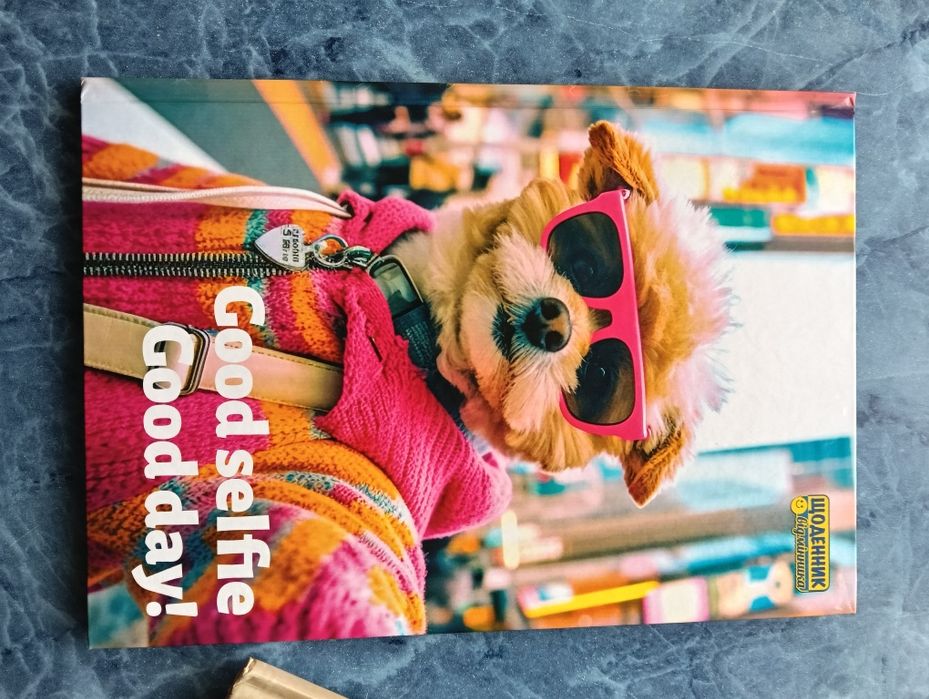 Дневники школьные