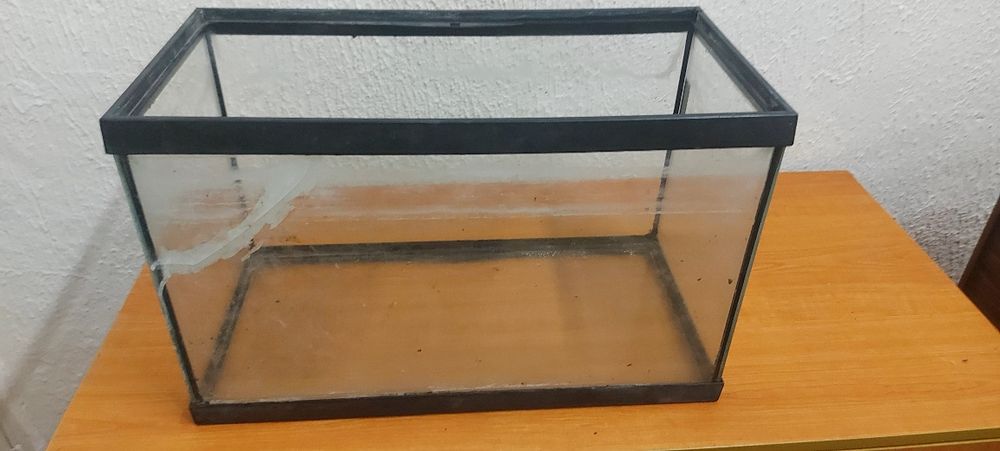 Terrario ou aquário de paisagismo