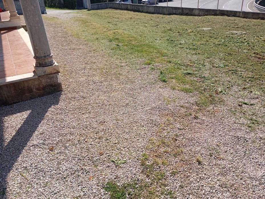 Limpeza de terrenos agrícolas