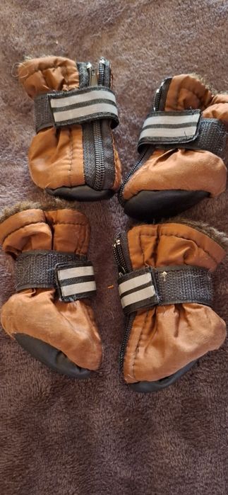 Обувка для невеличкої собачки