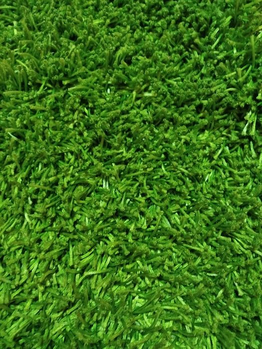 Carpete Verde em Leiria