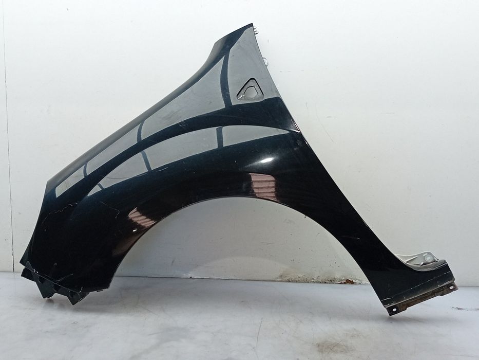 Guarda-lamas esquerdo RENAULT Kangoo Express (FW0/1_)