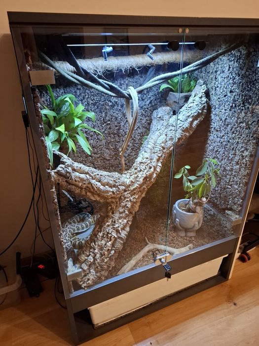 Węże wraz z terrarium 120x80x55