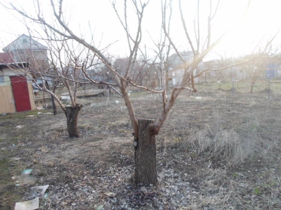 Продам дачу с/т "Темп"