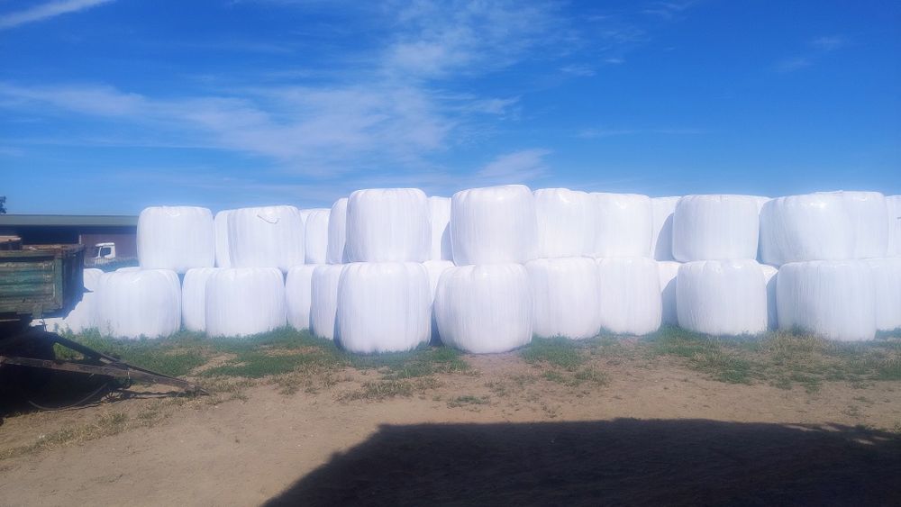 Sianokiszonka drugi pokos 2025