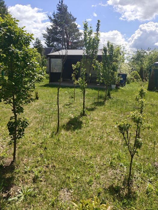 ПРОДАЖ дачі з будиночком , сосновий  ліс , озеро.