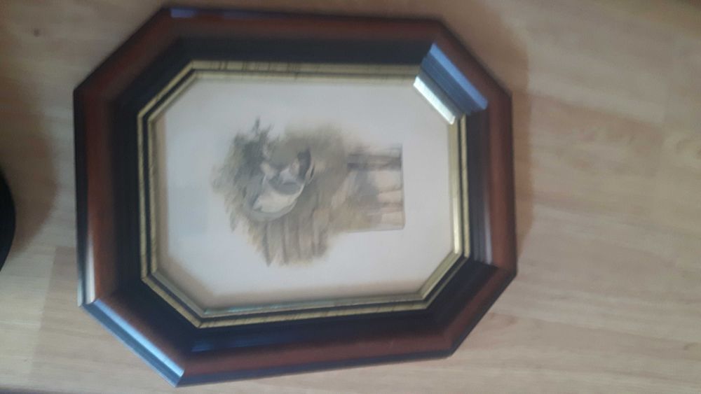 Molduras/quadros decorativos