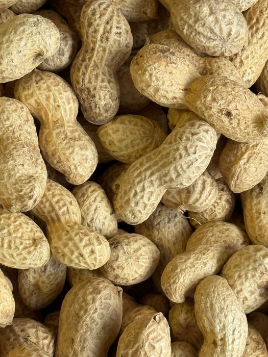 Горіхи смажені та сирі ( кеш'ю, мигдаль, фундук, арахіс, фісташка)