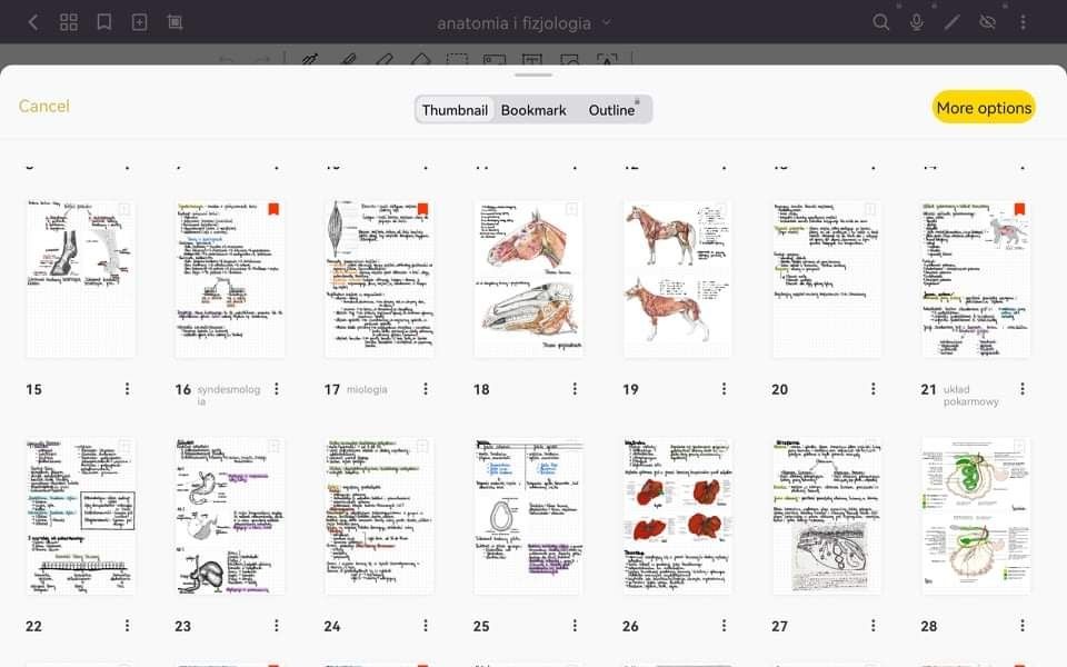 notatki-anatomia i fizjologia zwierząt technik weterynarii