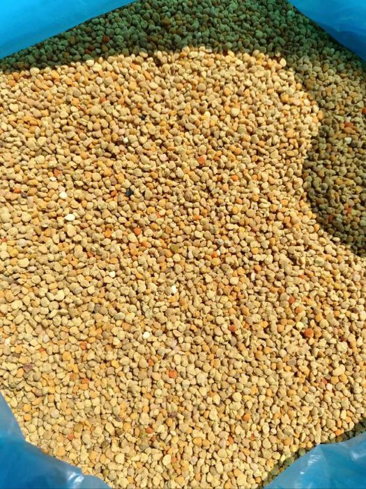 Бджолиний пилок, перга, прополіс, мед гречаний, трутневий гомогенат