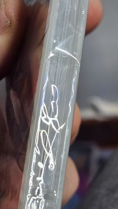 Looney Tunes Wacky World of Sports Nintendo Switch