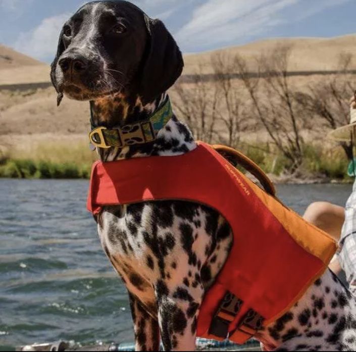 Жилет для собак для плавання Ruffwear