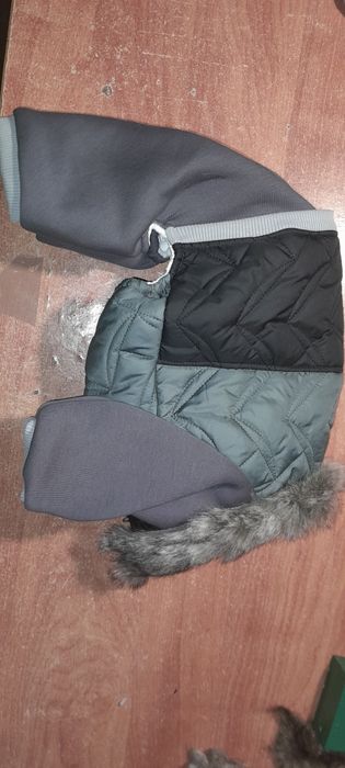 Новий одяг для собак