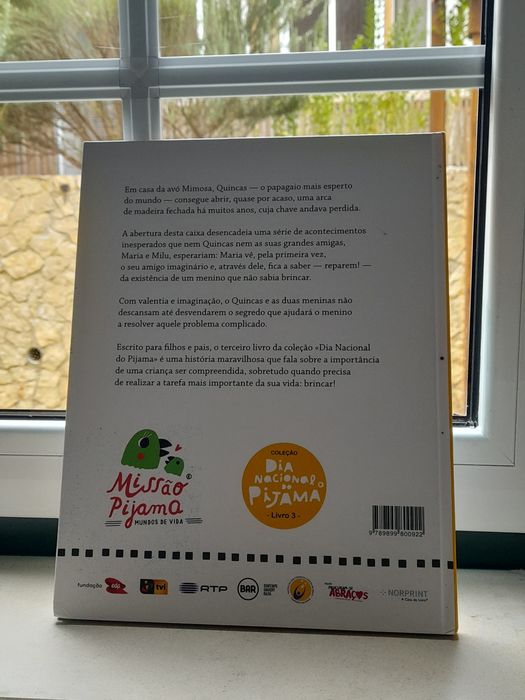 Livro O Menino que Não Sabia Brincar