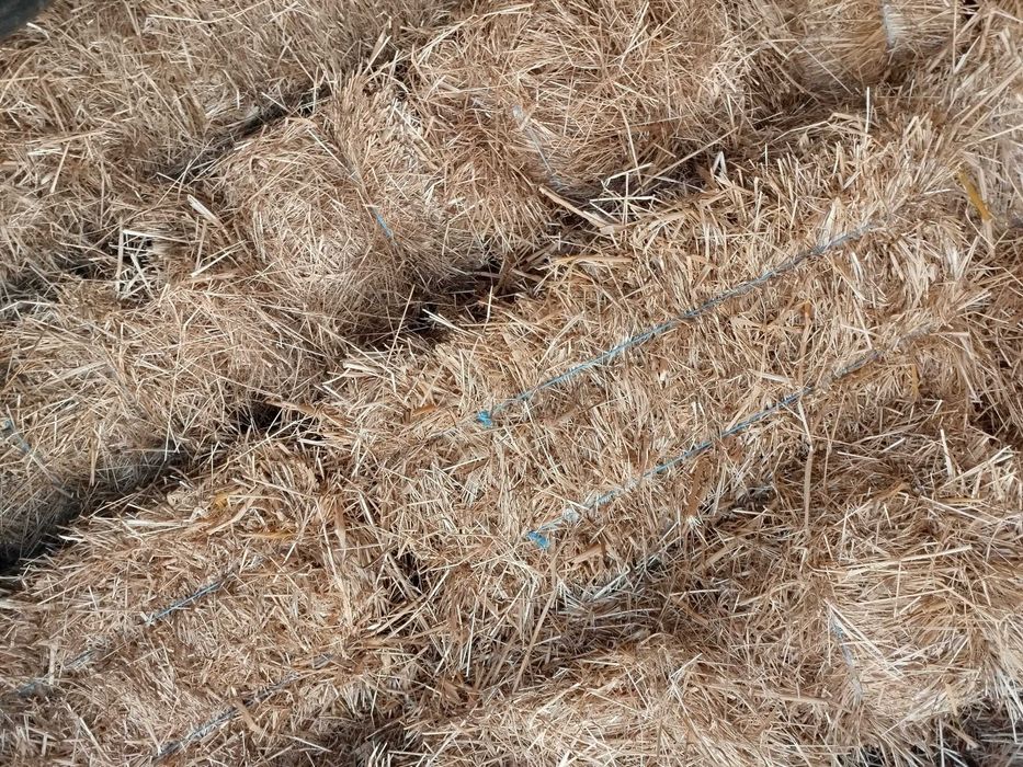 Fardos de palha de azevem e aveia