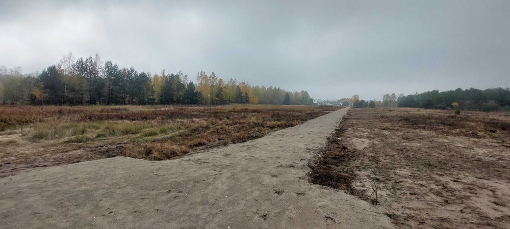 Przepiękna działka z lasem w Dobieszu - Widok 4
