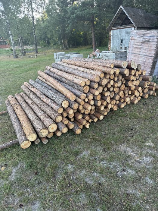 Stemple na wymiar nowe