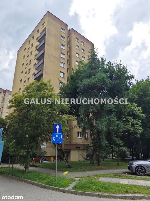 Zdjęcie 7
