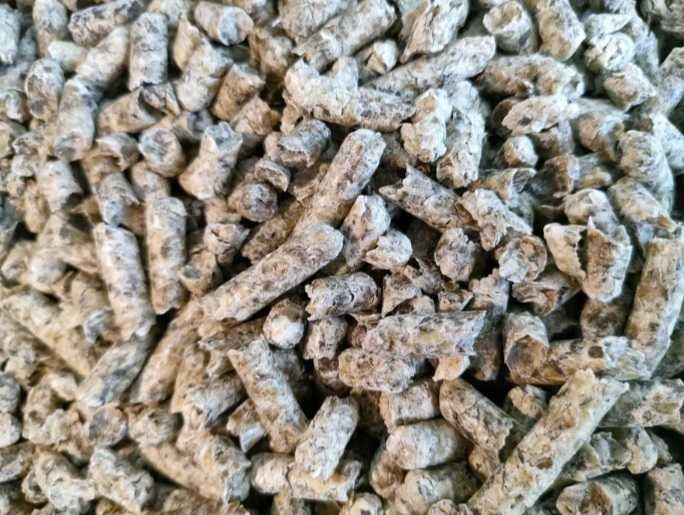 Wysłodki buraczane melasowane, niemelasowane - cena brutto z dostawa