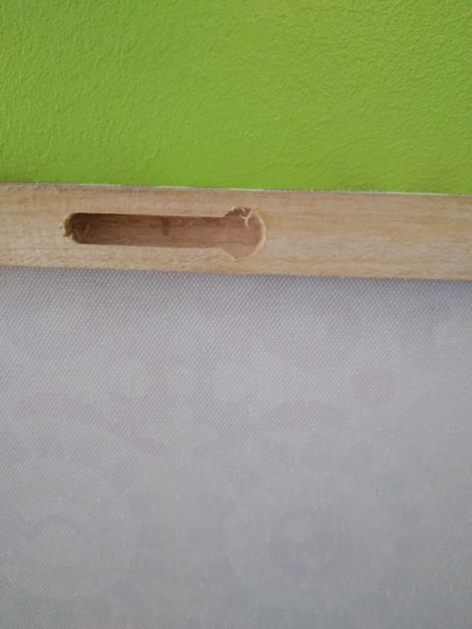 Owl Picture Frame, Like New64729893421826121