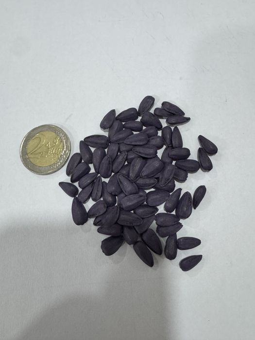 Насіння соняшника,кукурудзи  Бастіон,ВС Ірмін,Альдазор,Бомонд,Амарок