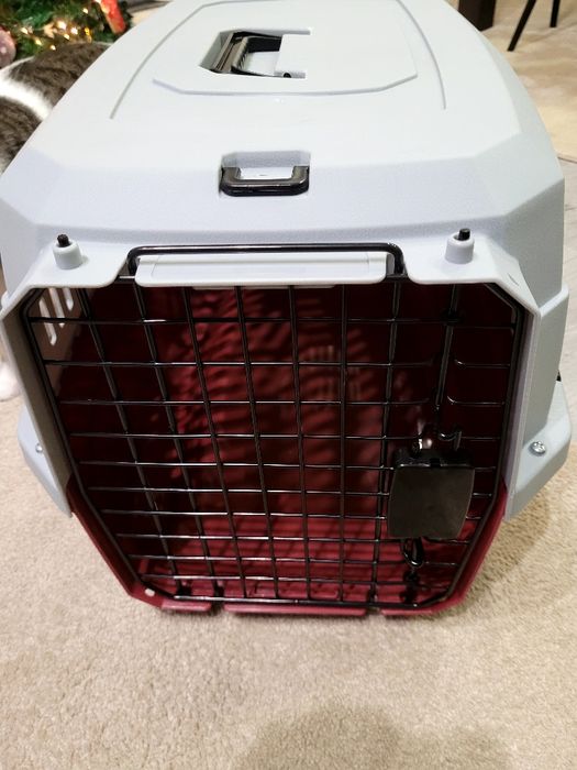 Transportadora animais