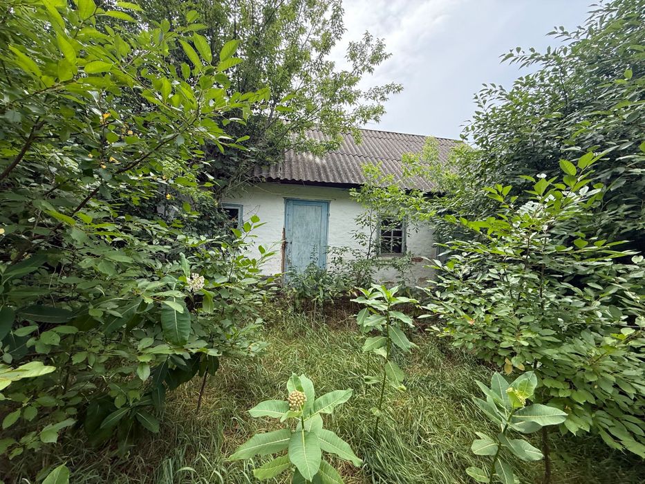 Будинок Дача Двір Цегляний будинок Піч Груба земля приватизована