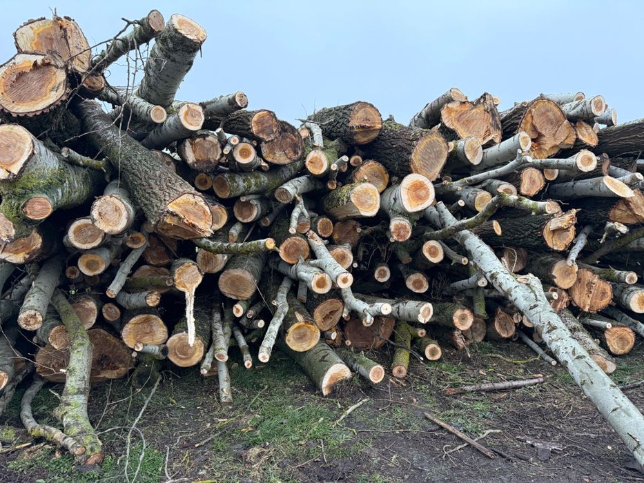 Drewno olcha olszyna Topola  Wałki  Opałowe