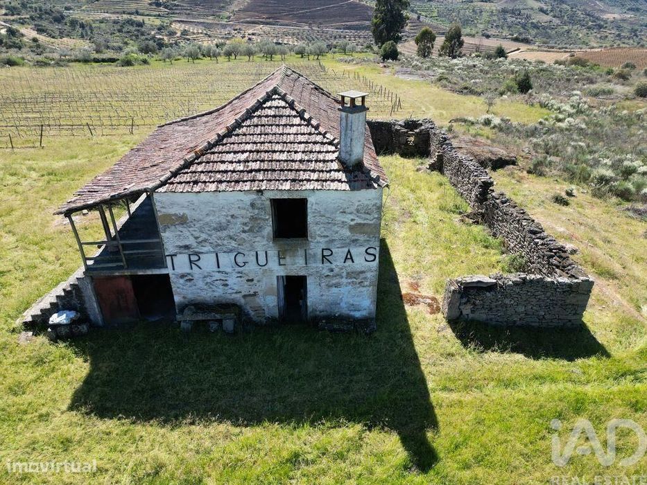 Quinta em Vila Flor e Nabo de 216 m2