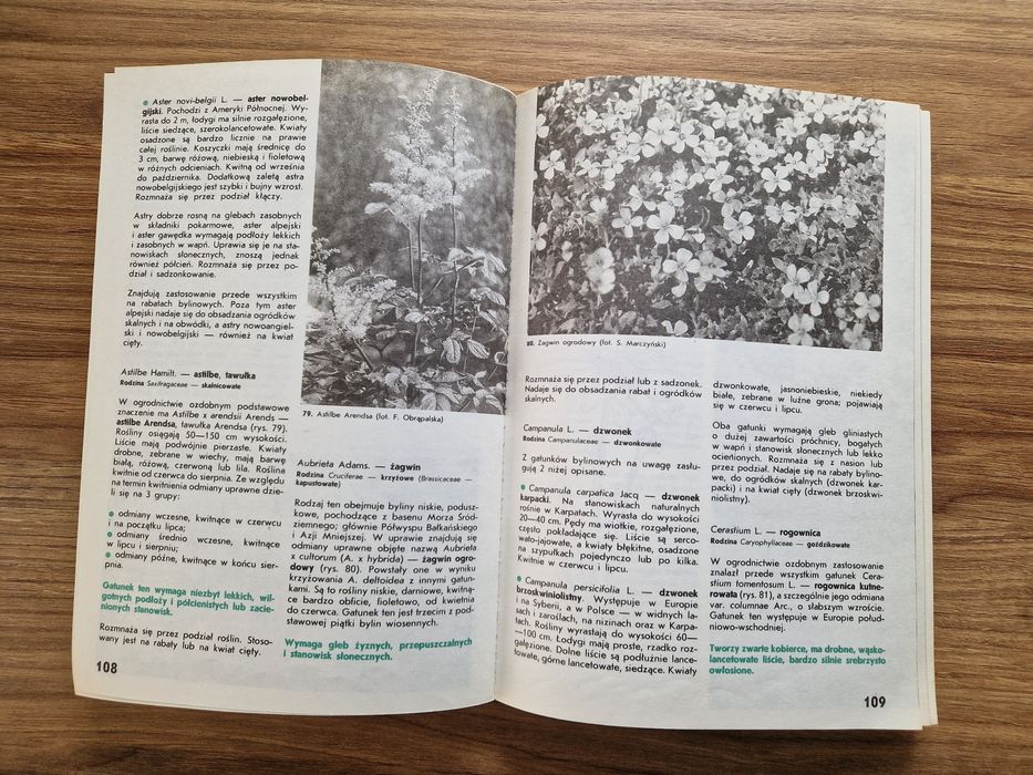 Kwiaciarstwo - B. Chlebowski, K. Mynett