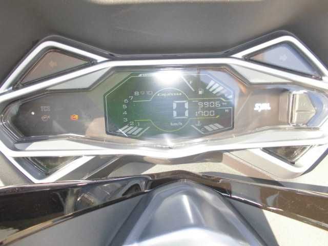 CRUISYM ALPHA 300 Ano 2021