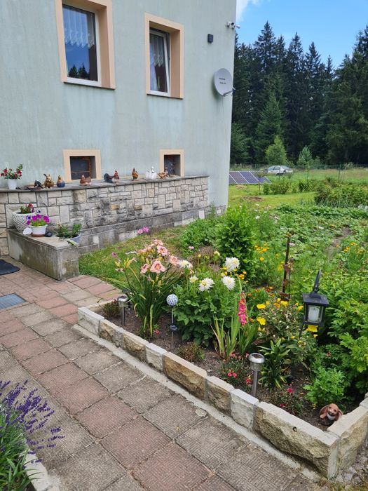 Apartament pod grzybkami skalnymi