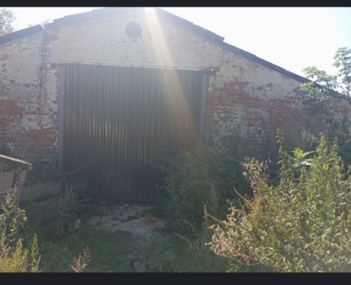 Продам свиноферми