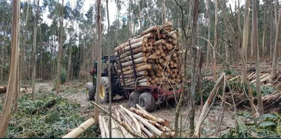 Madeireiro Florestal