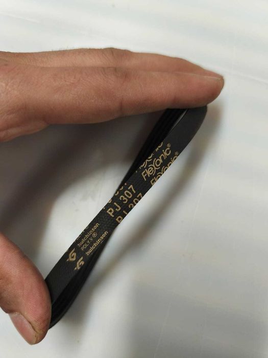 PJ307 Correia / Belt