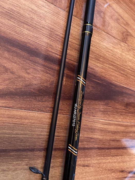 Spinning Jaxon Arcadia JigSpin 3-15g dł. 2,70 m