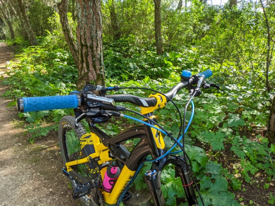 specialized enduro EVO