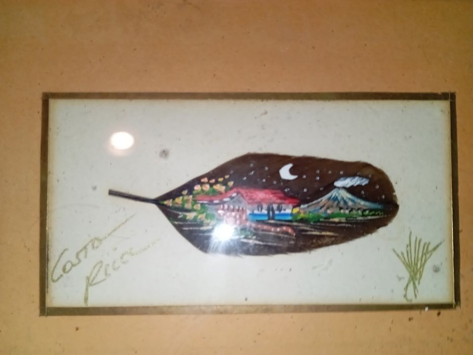 Pena assinada moldura pequena