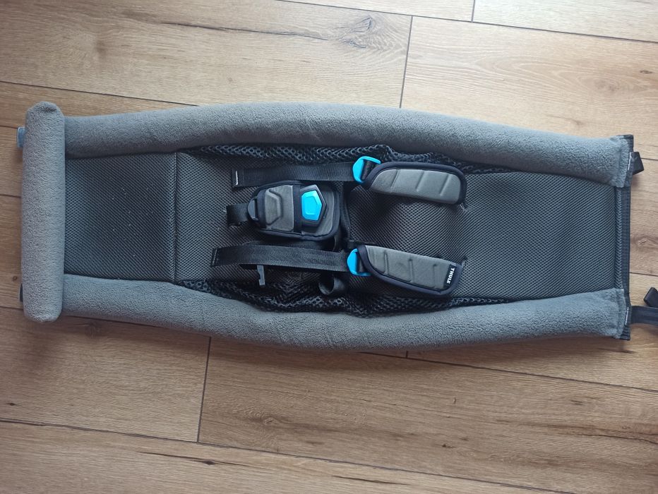 Thule hamak chariot lite