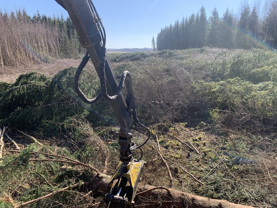 Wycinka drzew/zarośli