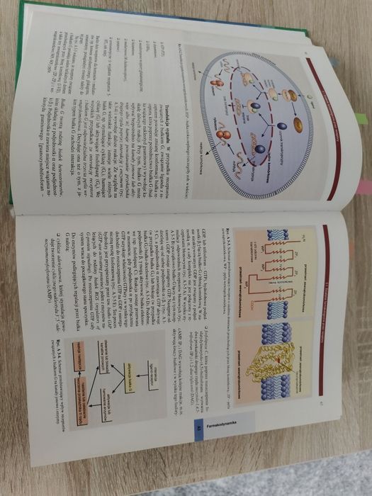 Farmakologia i Toksykologia Mutschler  Podręcznik